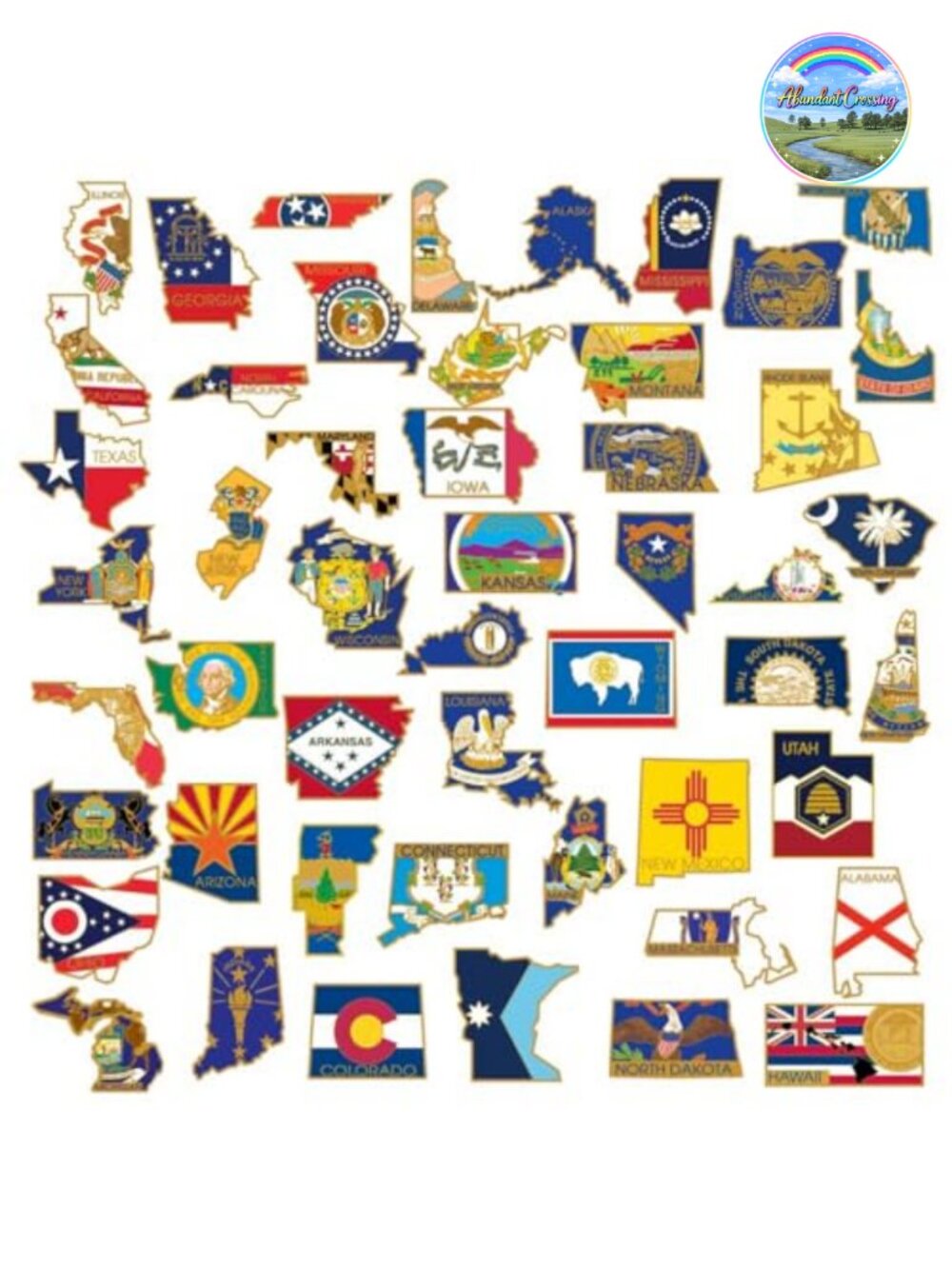 50 State Flag Lapel Pin Set Gold Plated Enamel Clutch Back